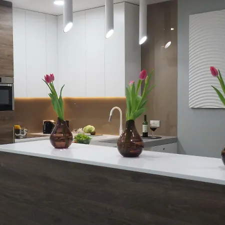 Luxury Miedzyborska 8b * 华沙