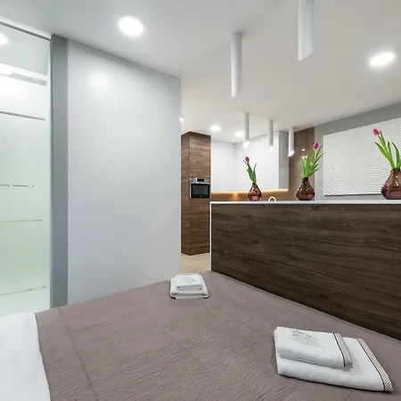 Apartament Luxury Miedzyborska 8b *